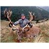 Image 1 : Red Stag hunt in Canterury, New Zealand (4 days/3 nights) for two hunters.