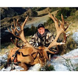 New Zealand hunt for one red stag each for two hunters (5 days)