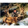 Image 1 : New Zealand hunt for one red stag each for two hunters (5 days)