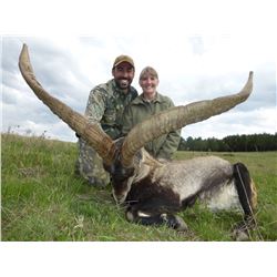 Spanish Ibex hunt for 2 hunters & 2 observers (4 days)