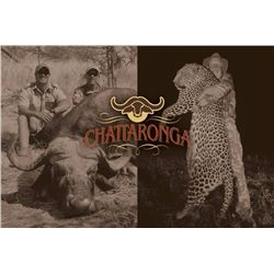 Leopard and Cape Buffalo Dangerous Game Hunt in Matetsi Unit 4 Zimbabwe for Two Hunters