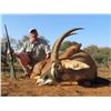 Image 1 : South African safari for one roan bull (5 days)
