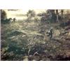Image 2 : Monogrammed watercolor "The Last Load", lands