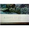 Image 3 : Colored lithograph "A Bevy of Quails", New Yo