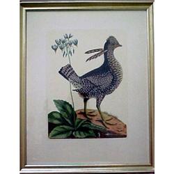 Unsigned overpainted colored lithograph of bi