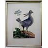 Image 1 : Unsigned overpainted colored lithograph of bi