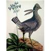 Image 2 : Unsigned overpainted colored lithograph of bi