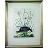 Image 1 : Unsigned overpainted colored lithograph of bi