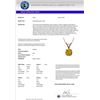 Image 3 : Genuine 0.53 CTW Certified Intense Yellow Genuine Diamond Solitaire Necklace Gold - 36733-REF#35H2R