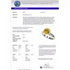 Image 3 : Genuine 2.50 CTW Certified Intense Yellow Genuine Diamond Solitaire Ring Gold - 33047-REF#561V2F