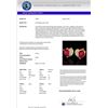Image 3 : Natural 2.50 CTW Ruby & Micro Pave Diamond Certified Earrings 10K Gold - 20078-REF#25H5R