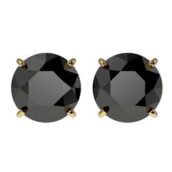 Genuine 3.0 CTW Fancy Black Genuine Diamond Bridal Solitaire Stud Earrings Gold - 33125-REF#71V2F