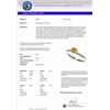 Image 3 : Genuine 0.55 CTW Certified Intense Yellow Diamond Solitaire Engagement Ring Gold - 36380-REF#40N3G