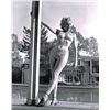 Image 1 : MARILYN MONROE.