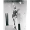 Image 1 : 1958 EVER READY SKY COUNTLESS RADIO.