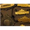 Image 2 : "Committee" Hanging Badge with an area for a photo in center; & several brass "Alternate" Pin-backs.
