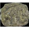 Image 1 : Copper Square Coin of Sangam Pandya.