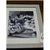 Image 1 : Framed Autographed Sandy Koufax Photo