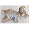 Image 3 : Colima Dog