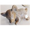 Image 6 : Colima Dog