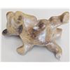 Image 7 : Colima Dog