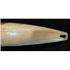 Image 2 : Fossil Bone Fishing Lure