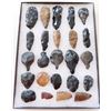 Image 1 : Collection of Paleo Tools