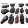 Image 2 : Idaho Paleo Collection