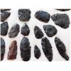 Image 3 : Idaho Paleo Collection