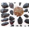 Image 4 : Idaho Paleo Collection