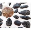 Image 5 : Idaho Paleo Collection