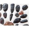 Image 6 : Idaho Paleo Collection