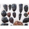 Image 7 : Idaho Paleo Collection
