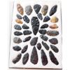 Image 1 : Idaho Paleo Collection