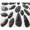 Image 2 : Idaho Paleo Collection