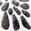 Image 3 : Idaho Paleo Collection