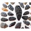 Image 4 : Idaho Paleo Collection