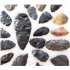 Image 5 : Idaho Paleo Collection