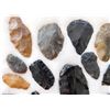 Image 6 : Idaho Paleo Collection