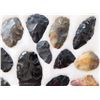 Image 7 : Idaho Paleo Collection