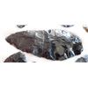 Image 8 : Idaho Paleo Collection