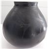 Image 1 : Southwest Pot