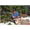 Image 1 : Swan Mountain Outfitters Is Proud to offer a Montana Trophy Horseback Mule Deer or Whitetail Hunt