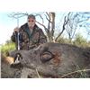 Image 1 : Anuritay Game Ranch: Francisco Pizarro of Anuritay Game Ranch is donating an Argentina 7 day hunt fo