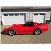 Image 1 : 1981 CHEVROLET CORVETTE COUPE