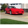 Image 8 : 1981 CHEVROLET CORVETTE COUPE