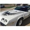 Image 2 : 1981 PONTIAC TRANS AM NASCAR EDITION