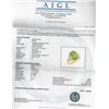 Image 3 : 14KT Yellow Gold 4.92 ctw Peridot and Diamond Ring