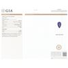 Image 4 : 14KT White Gold GIA Certified 7.53 ctw Tanzanite and Diamond Ring