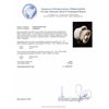 Image 5 : Bessa 3.65 ctw Diamond Ring - 18KT White Gold